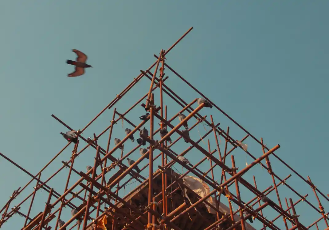 How to choose the best scaffolding solutions